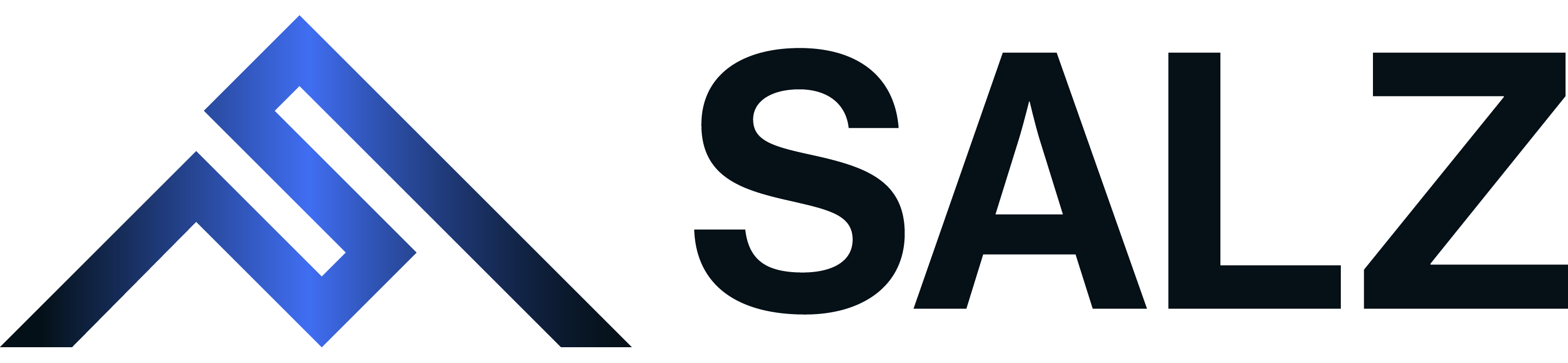 SALZ Festival